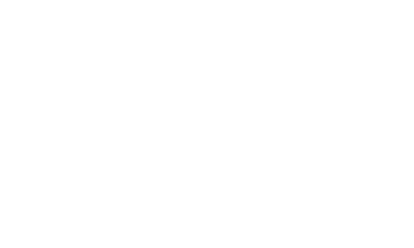 BLN Informatica